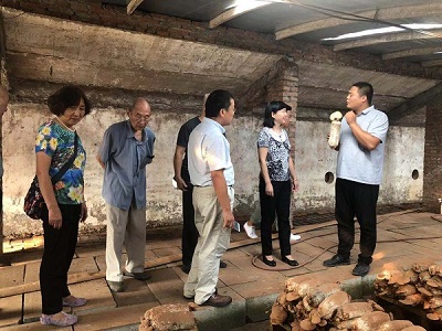 5dbb846366481.jpg 5dbb846366481.jpg